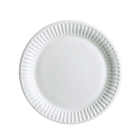 Dispo and H Pack Disposable Tableware Disposable Paper Plates