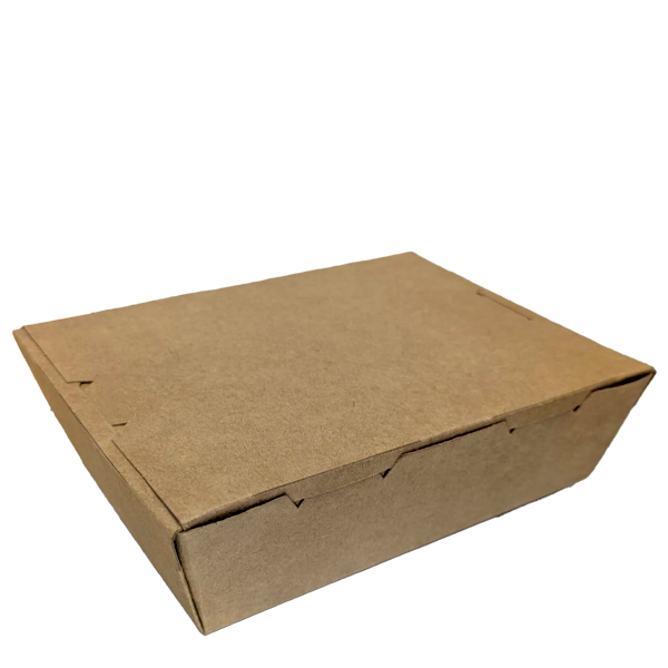 Small Kraft PE Lunchbox LOT: MG28