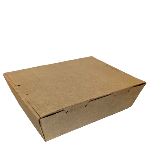 Small Kraft PE Lunchbox LOT: MG28