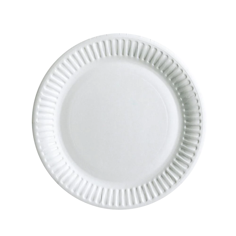 Dispo and H Pack Disposable Tableware Disposable Paper Plates