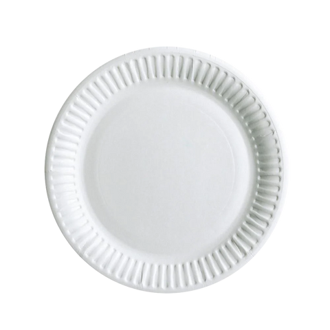 Eco-friendly disposable paper plate, perfect for catering and events, showcasing a clean white design, safe for direct food contact, 100% compostable.