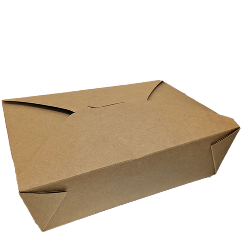 Large Kraft PE Takeaway Box LOT: MG07