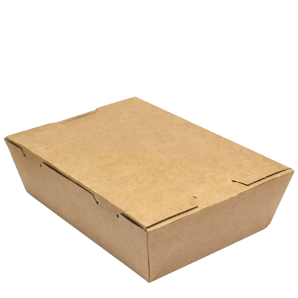 H Pack Takeaway Box Kraft PE Lunchboxes